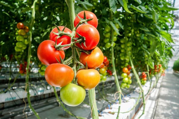 拋丸機質量可靠，性價比高